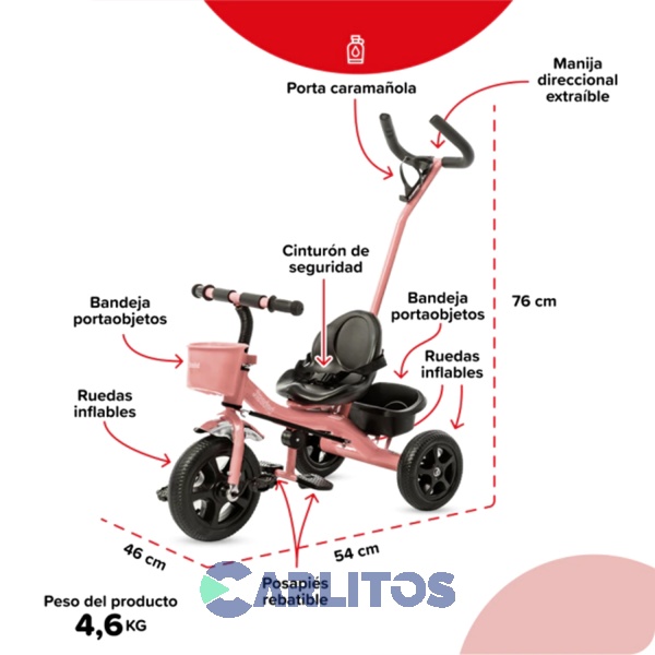 Triciclo Con Barral De Acero Reforzado Rosa Bebesit SL-1701D