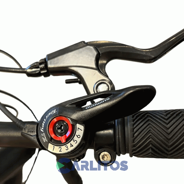 Bicicleta Randers Todo Terreno Rod.29" Horus Con Disco Bke-2129-m/l Negro Con Rojo