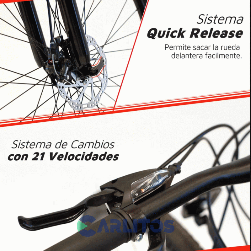 Bicicleta Randers Todo Terreno Rod.29