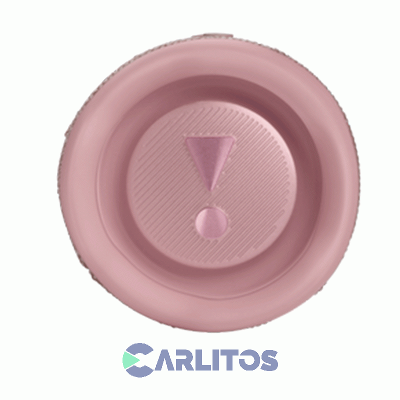 Parlante Portátil JBL Con Bluetooth Y Batería Flip 6 Rosa