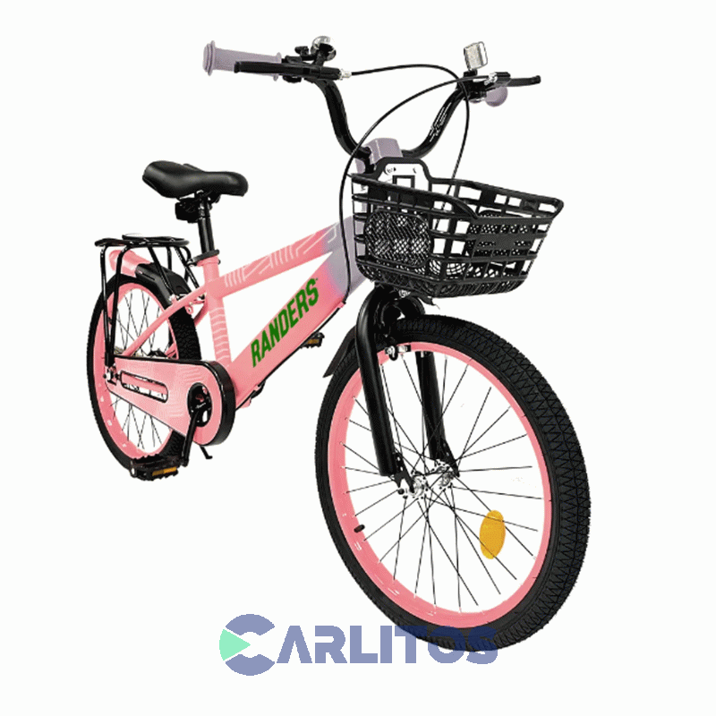 Bicicleta De Paseo R 20