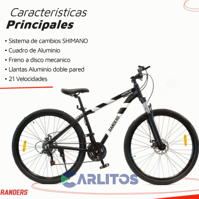 Bicicleta Randers Todo Terreno Rod.29