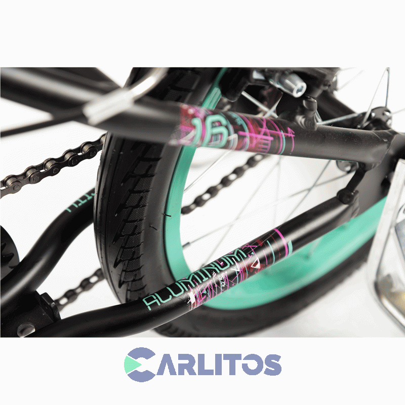 Bicicleta Olmo R 16